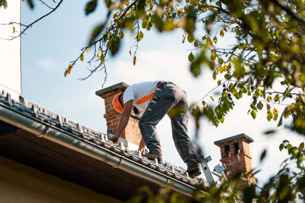 Best Metal Roofing Contractor  in Desert Aire, WA